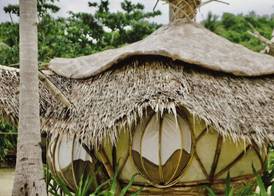 Dryft Darocotan Island 5