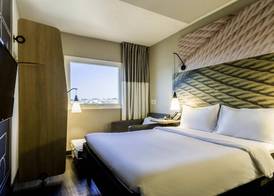 Ibis Americana 4