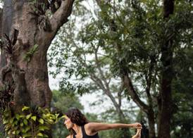 Tree of Life Nature Resort 3