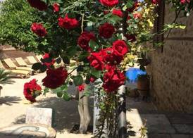 White Garden Hotel-Adult Only 3
