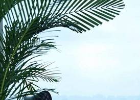 Doubletree by Hilton Foshan Nanhai 5