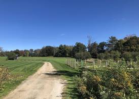 Gedney Farm 5