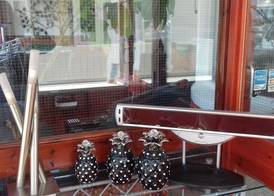 Elmfield 5