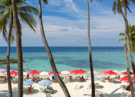 Kaani Beach Hotel at Maafushi 5