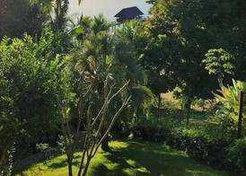 Seagull Cove Resort 3