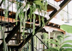 Cacao Boutique Hotel 2