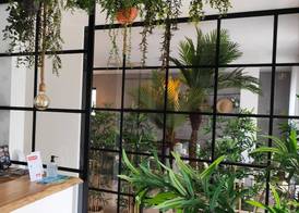 Marsuites 3