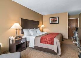 Comfort Inn Saugerties 5