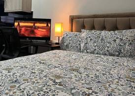 Entire Studio apartment - London 4