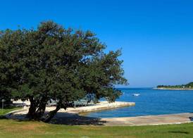 Mobile Homes Relax Park Umag 5