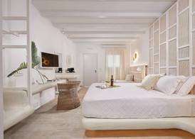Petri Suites 4
