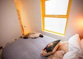 Higgihaus 26 Clare Street Aparthotel 4
