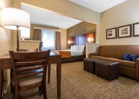Comfort Suites Rochester Henrietta University Area 4
