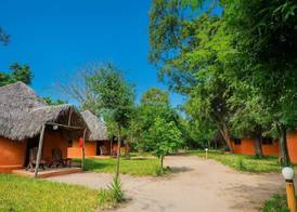 Africa Safari Selous Nyerere national park 4