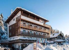 Chalet Caminetto 2