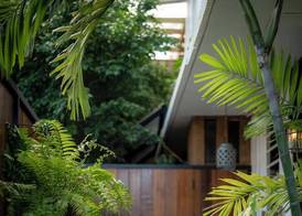 Casa Botanica 5