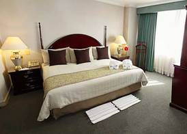 Pedregal Palace 5