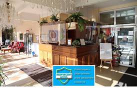 Hotel Daisy Budget 2