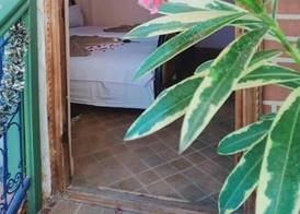 Riad Wink 3