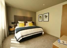 Distinction Dunedin Hotel 4