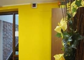 Albergo Hotel Giardino 5