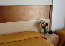 Hotel Rosanna 3 Stelle Superior 5