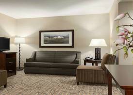Holiday Inn & Suites WILLIAMSBURG-HISTORIC GATEWAY by IHG 2