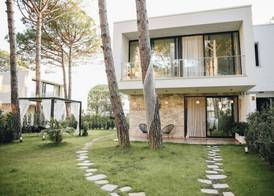 Parrot's Home 5