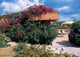 Eco Village Baia Delle Ginestre 3