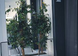 Casamia Boutique Hotel 5