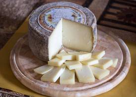 Fattoria il Casone 5