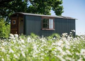 Harbour Ranch Hut - Rustic Countryside Escape 2