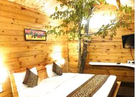 Treehouse Resort 2
