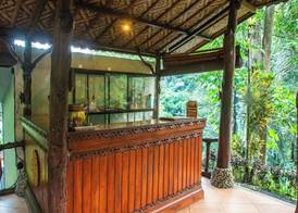 Bali Jungle Resort 4