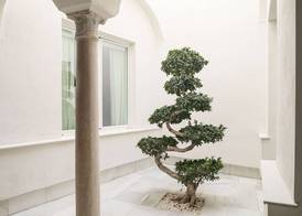 Mylu Suites by Puerta Catedral 2