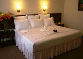 Plaza Uruapan Hotel 4