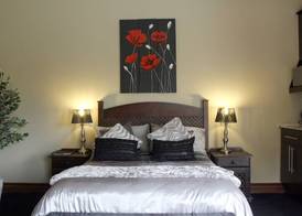 Casa Flora Guesthouse 5