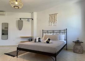 Ammos Andros Accommodation 5