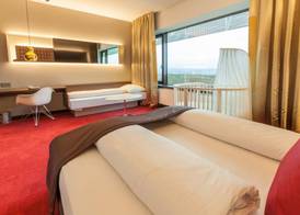Airport Hotel Basel - Convenient & Friendly 4