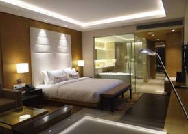 Feathers- A Radha Hotel, Chennai 5