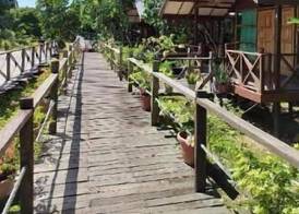 Borneo Sepilok Rainforest Resort 3