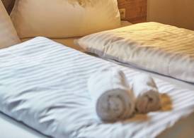 Delfi Ski & Bike Apartments 5