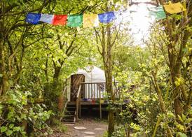 Larkhill Tipis and Yurts 5