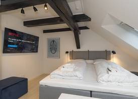 Modern Luxury Penthouse 3