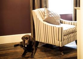 The Nags Head Inn 5