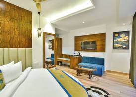 Ark Holiday Inn By DLS Hotels 5
