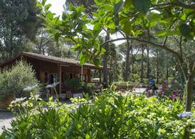 Camping Campo dei Fiori - Glamping4all 2