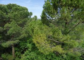 LA BASTIDE DES TEMPLIERS 3