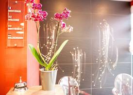 Brit Hotel Belfort Centre-Le Boreal 4