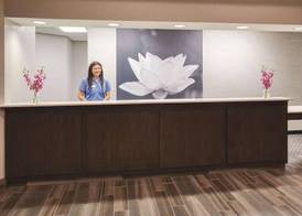 Bloom Hotel 3